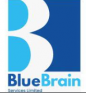 BlueBrain Services Ltd